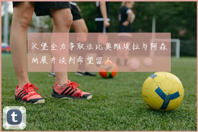 汉堡全力争取法比奥维埃拉与阿森纳展开谈判希望留人